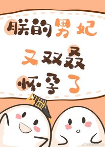 朕的男妃又雙叒懷孕了!