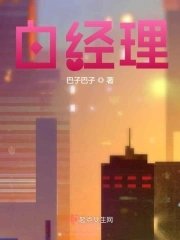 白經理1小藍飛機